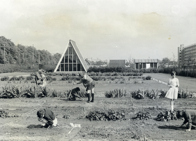 501095 Afbeelding van kinderen aan het werk in de schooltuin aan de Baden-Powellweg te Utrecht.